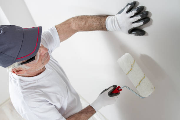 Best Environmental Consulting for Mold Prevention  in Westmont, NJ