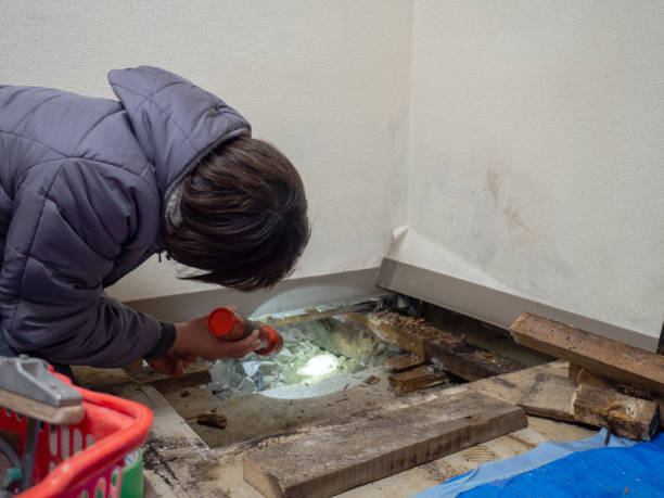 Best Airborne Mold Testing  in Westmont, NJ