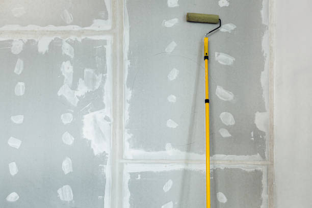 Best Post-Construction Mold Inspection  in Westmont, NJ