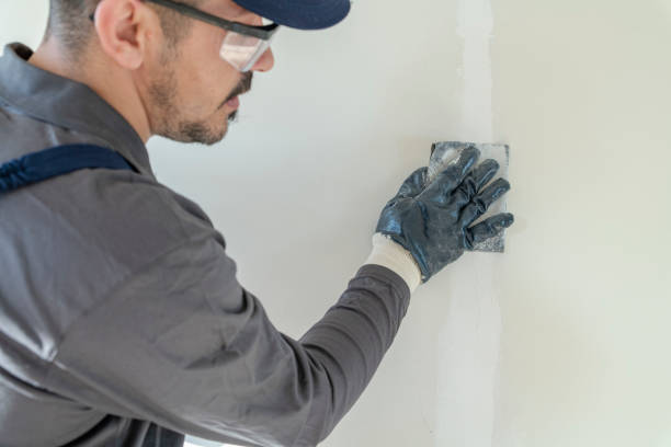  Westmont, NJ Mold Removal Pros