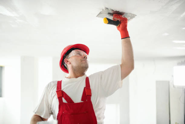 Best Basement Mold Removal  in Westmont, NJ