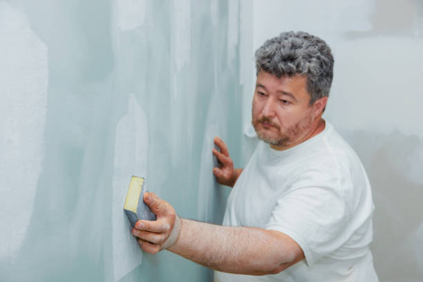 Best Comprehensive Air Testing for Mold Contaminants  in Westmont, NJ