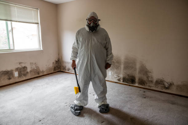 Best Airborne Mold Testing  in Westmont, NJ